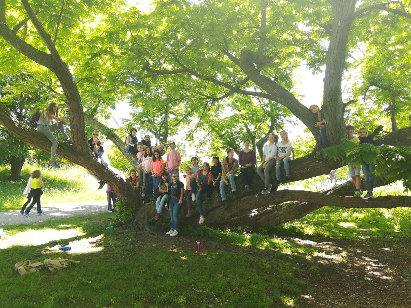 Die Frauen-Pfadis sind lieber am Tag im Wald unterwegs.