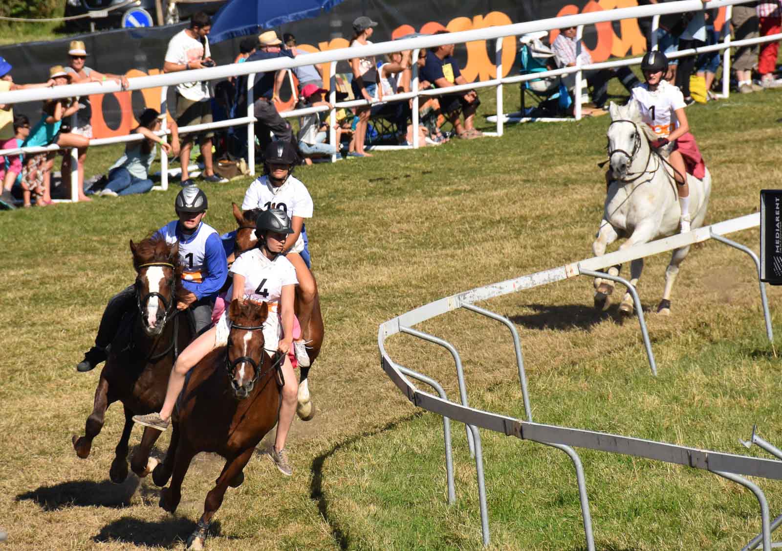 Die Zunft Höngg am MarchéConcours National de Chevaux 2016 Höngger.ch