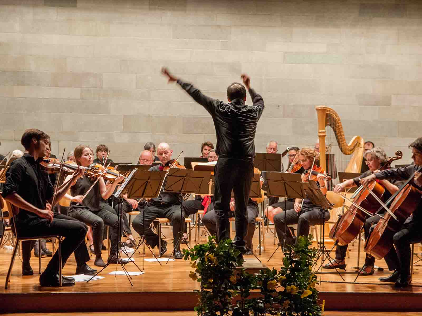 Leicht und lieblich, kraftvoll und präzis: Die Sinfonietta im reformierten Kirchgemeindehaus Höngg.