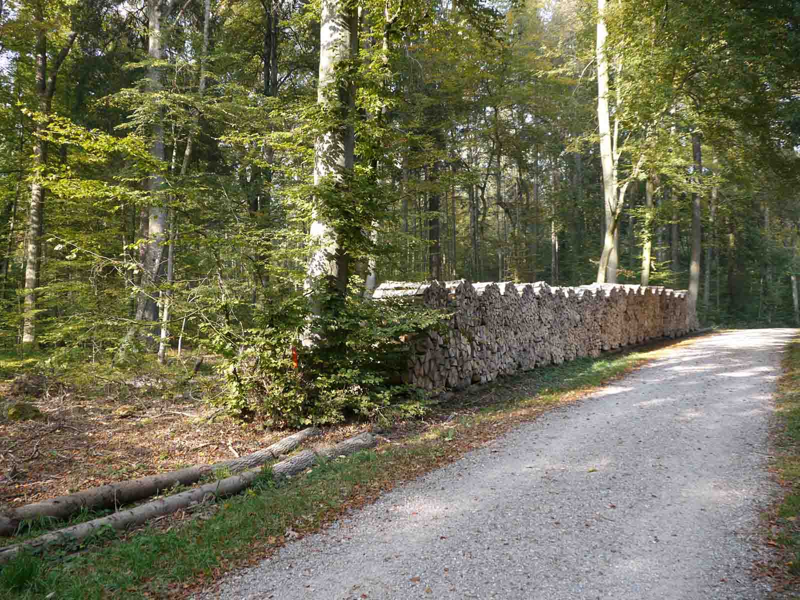 Brennholz eines privaten Waldeigentümers, gelagert an der Hungerbergstrasse.