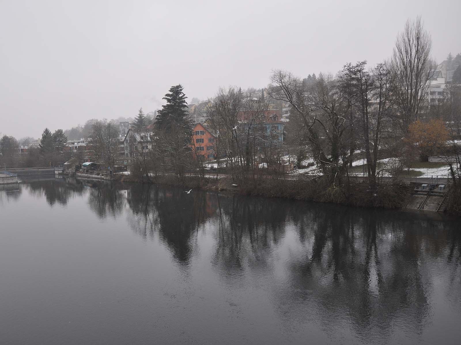 Unter anderem sind rechts der Limmat, zwischen Hardeggsteig und Wasserkraftwerk Höngg, Pflegemassnahmen nötig.
