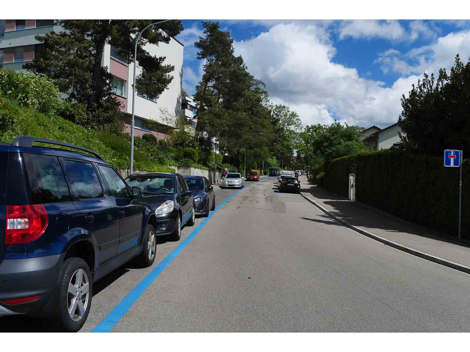 87 der insgesamt 181 Parkplätze sollen an der Segantinistrasse entfernt werden.