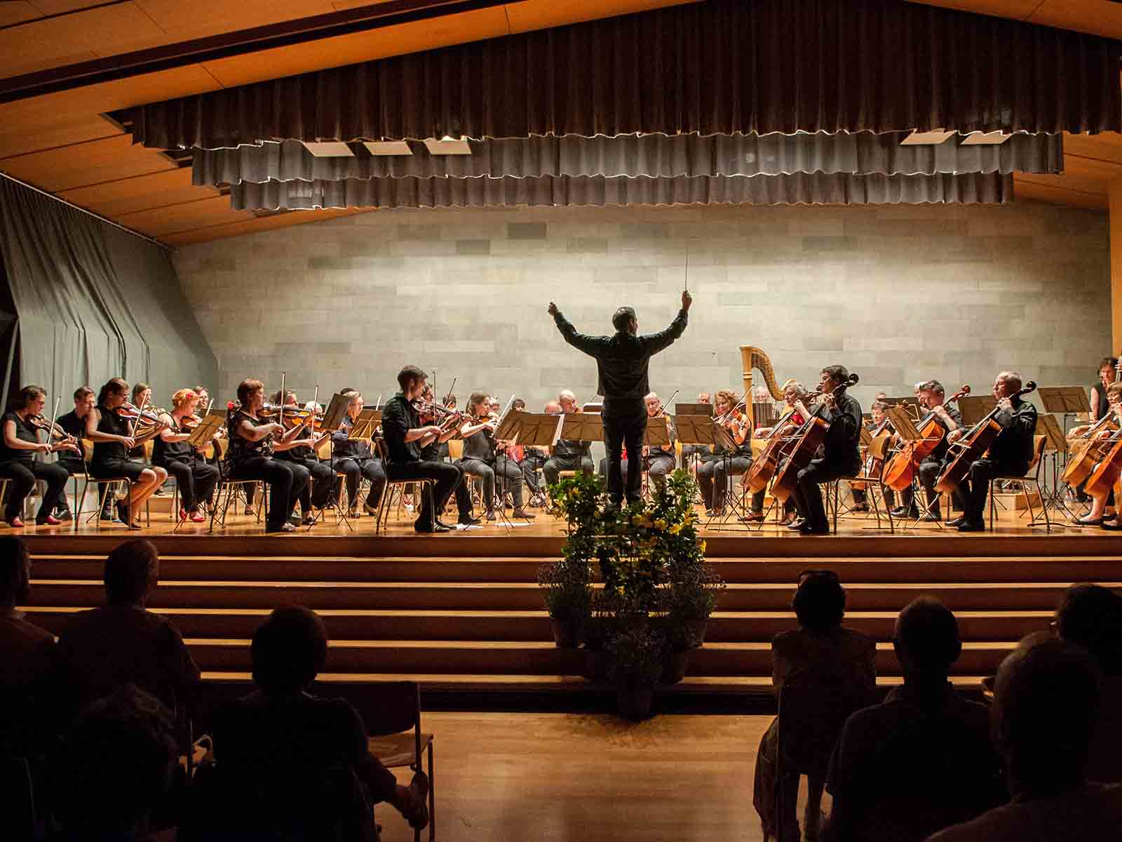 Die Sinfonietta Höngg verbindet Beethoven mit Musik englischer Komponisten.