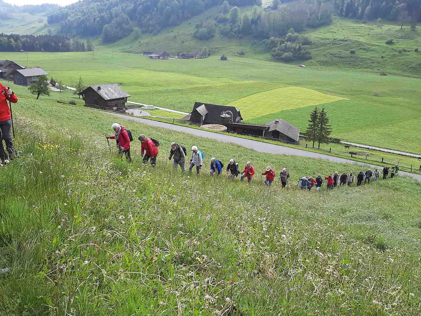 Die Wandergruppe bewältigt den Aufstieg von Obbürgen nach Bürgenstock.
