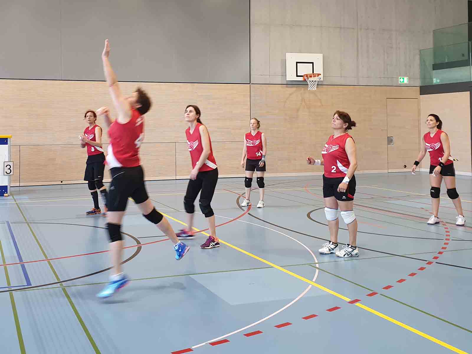 Voller Einsatz bei Volley Höngg
