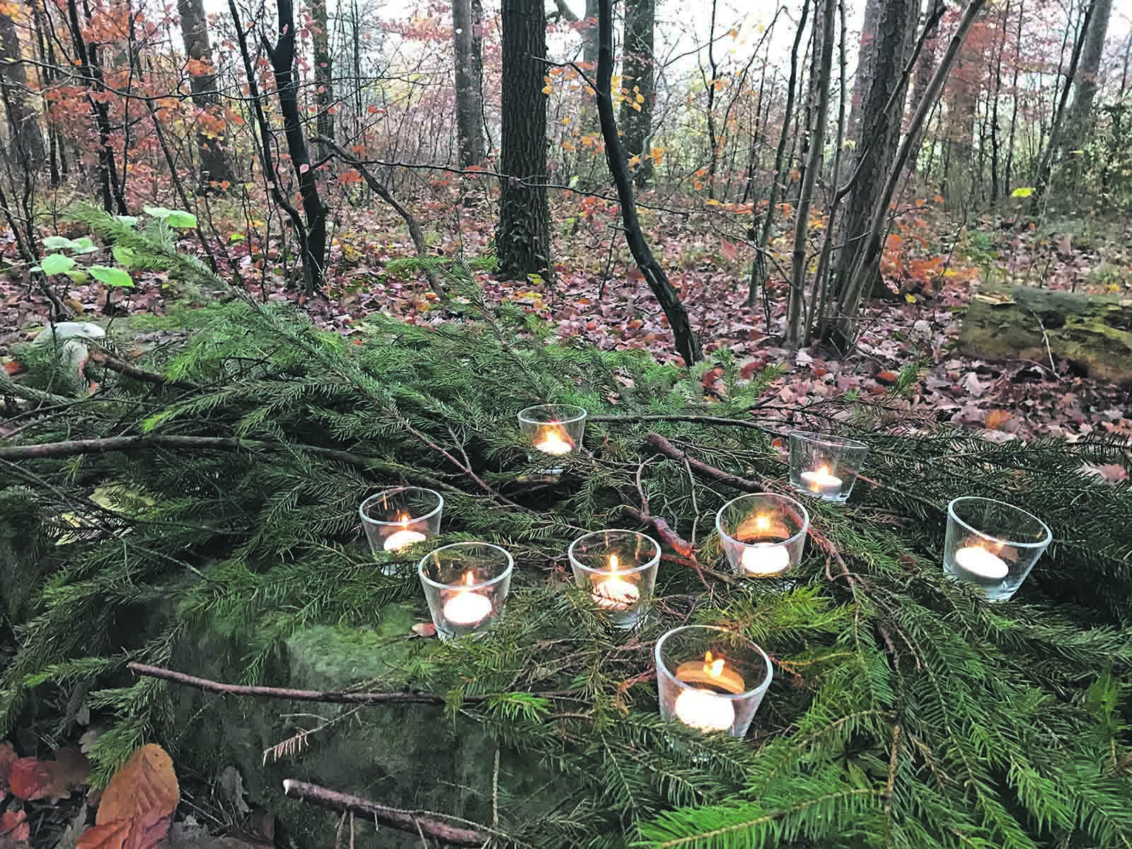 Naturspaziergang am 1. Advent