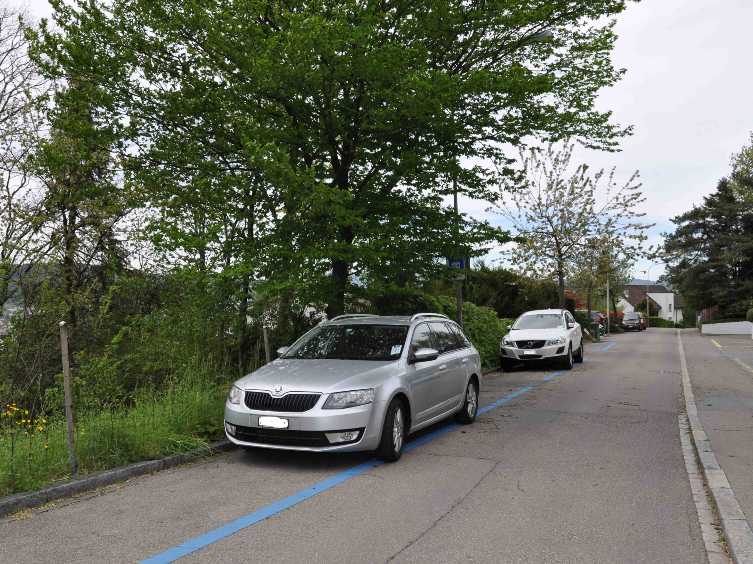 Diesen Parkplätzen wäre es beinahe an den Kragen gegangen.