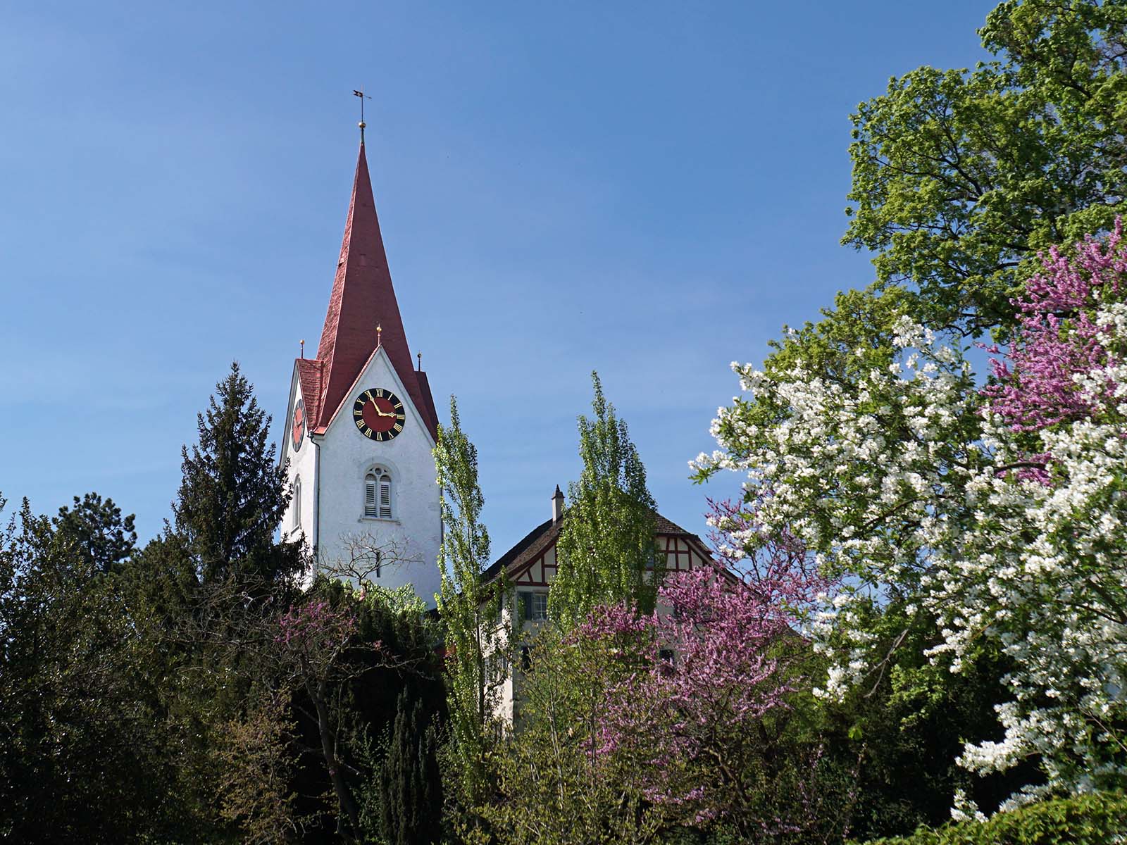 Reformierte Kirche Höngg im Frühling