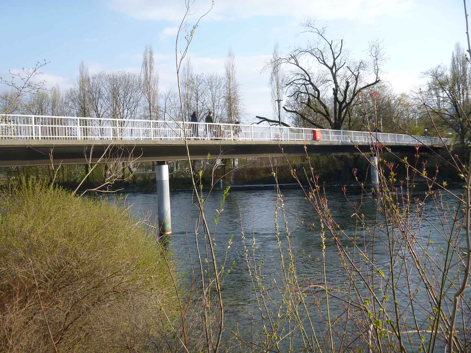Die völlig verängstigte Frau sprang vom Hardeggsteg in die 13 Grad kalte Limmat und ertrank.