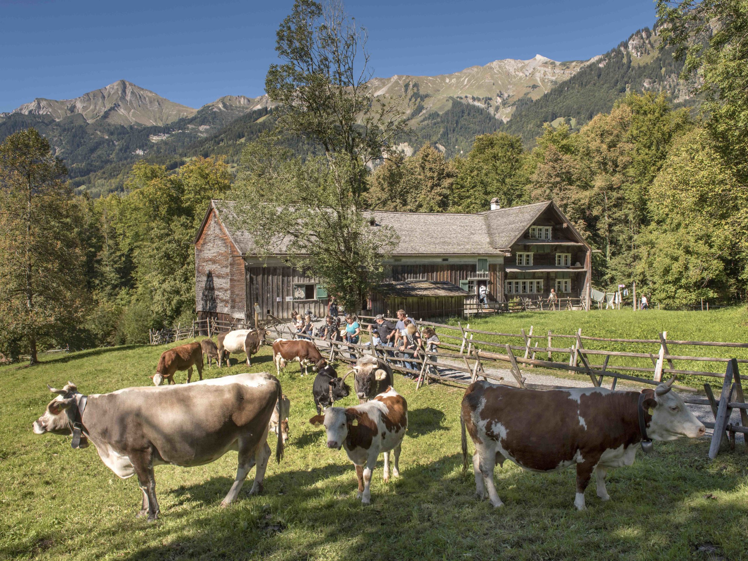 Freilichtmuseum Ballenberg: Appenzellerland im Berner Oberland