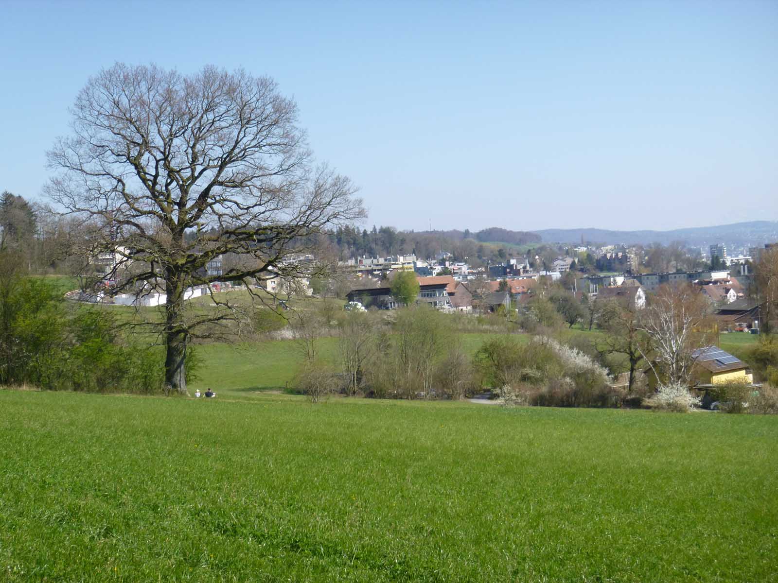 Im Rüthof sorgte der Vergiftungstod eines Hundes bei den Hundebesitzern für grosse Angst.
