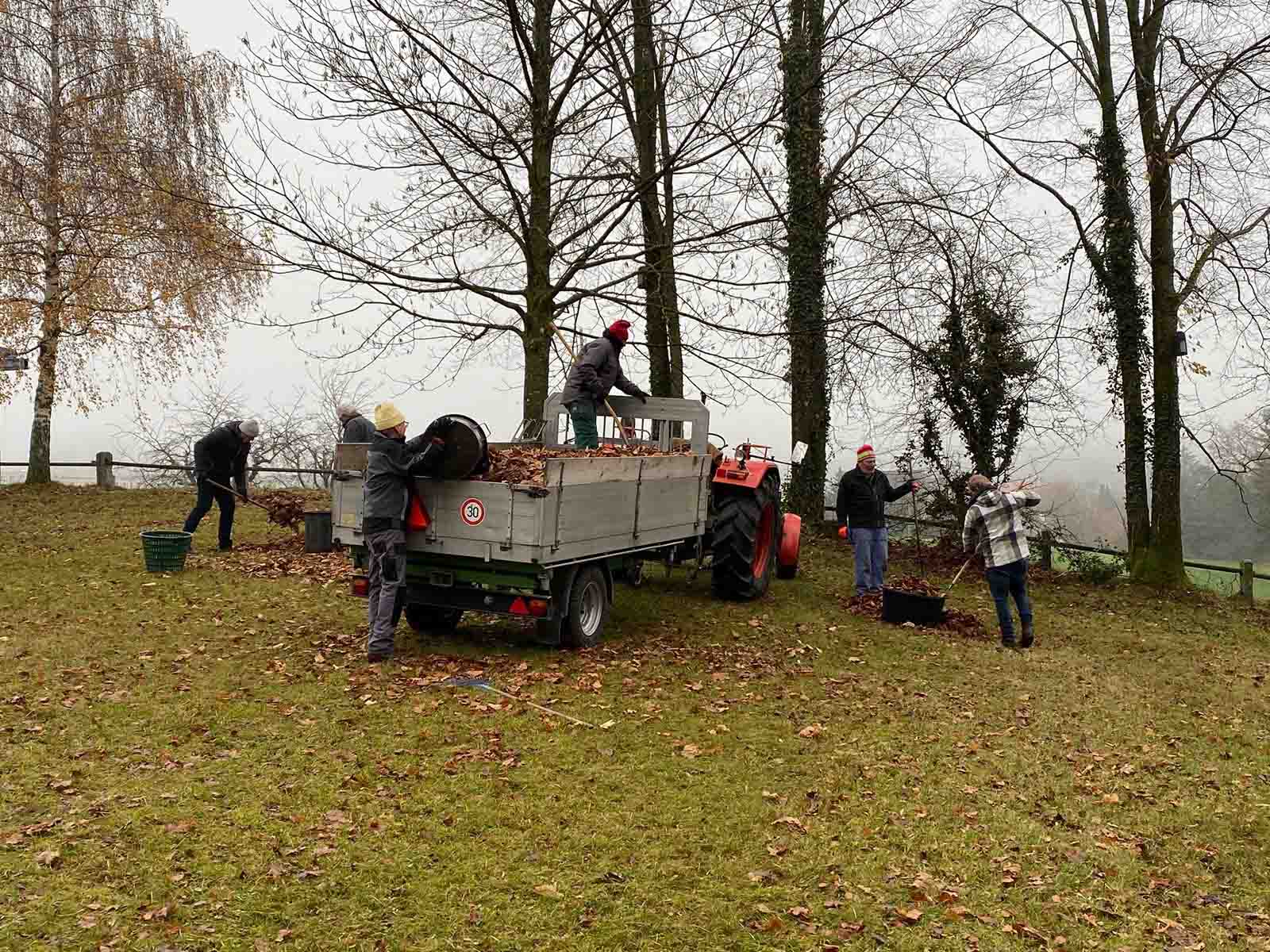 Herbstliches «Lauben» im Findlingsgarten Kappenbühl.