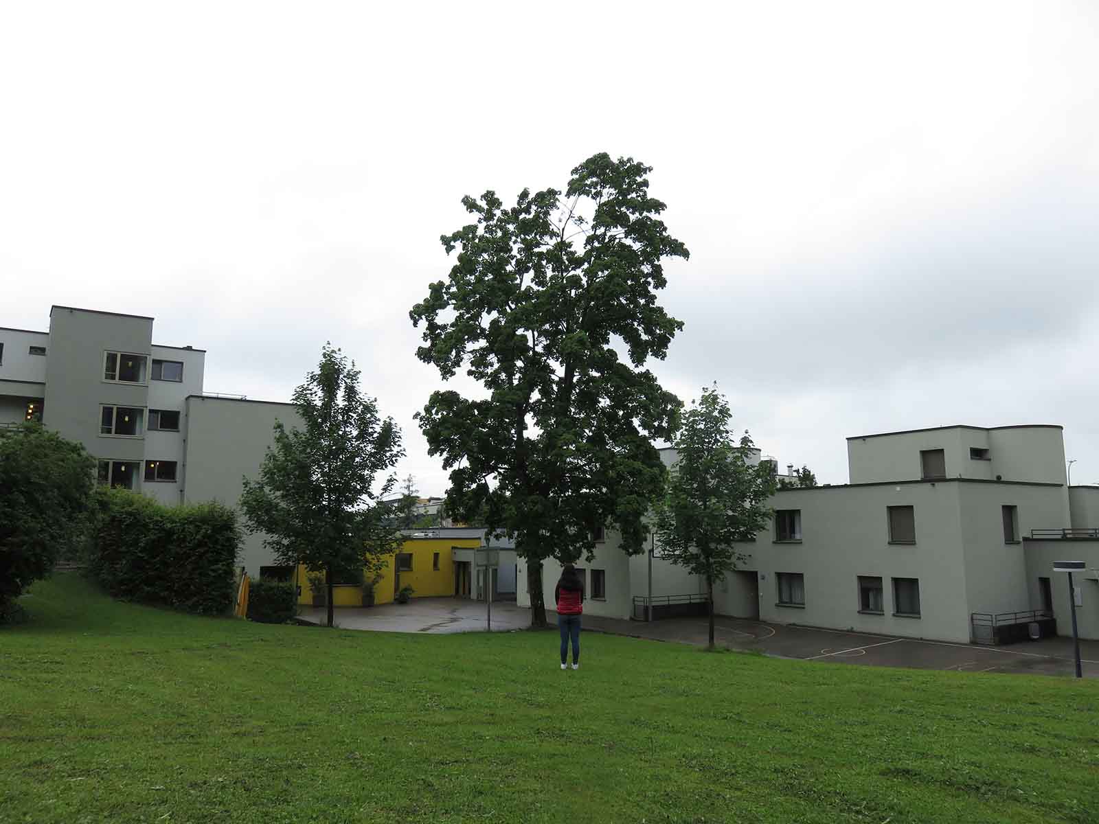 Jugendliche auf dem Areal des Wohn und Tageszentrums Heizenholz.