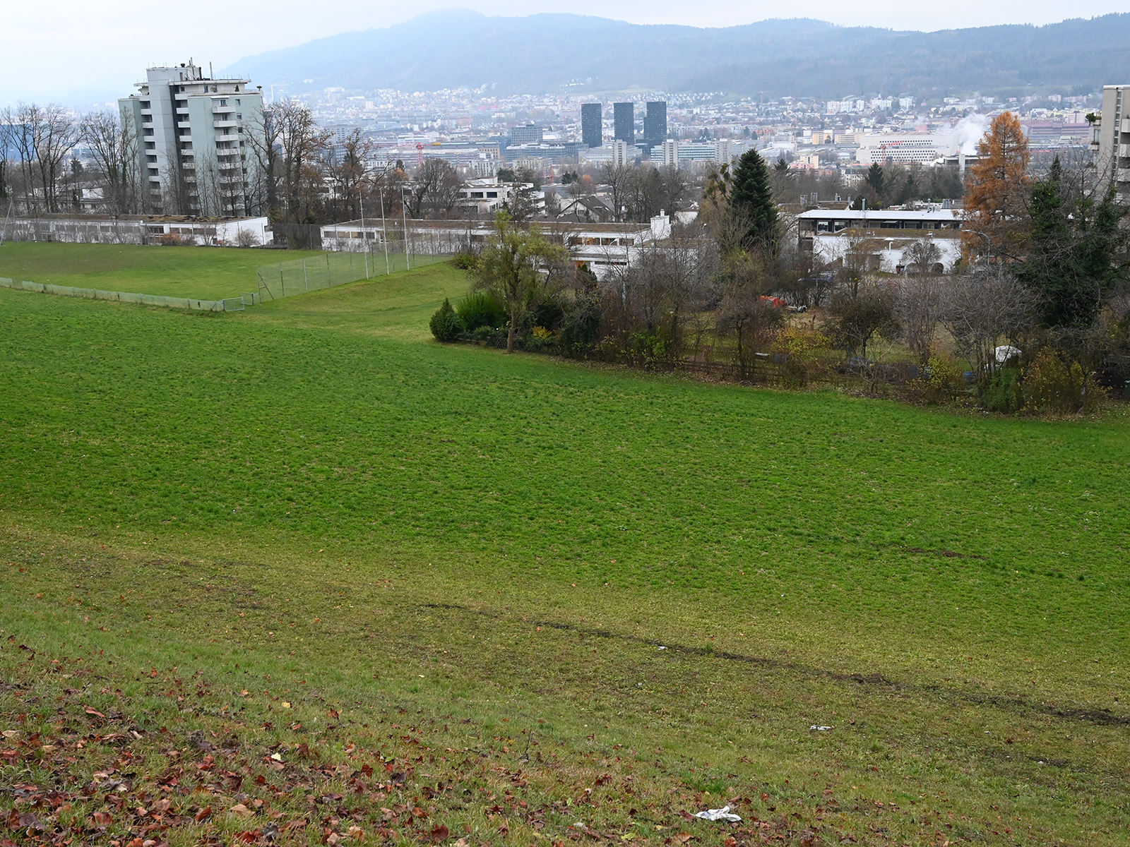 Die Schulanlage Riedhof soll durch einen Neubau erweitert werden.