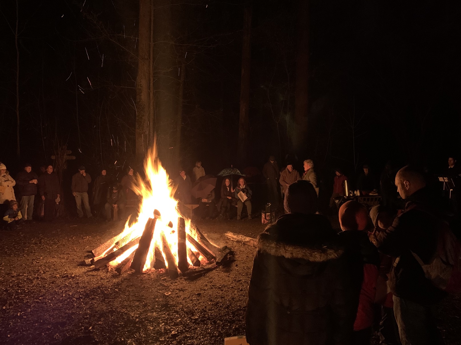 Die Höngger Waldweihnacht